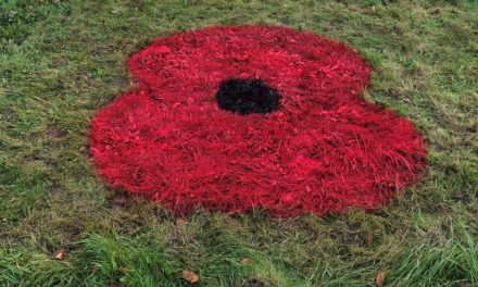 We will remember them: giant poppies bloom ahead of Remembrance Day