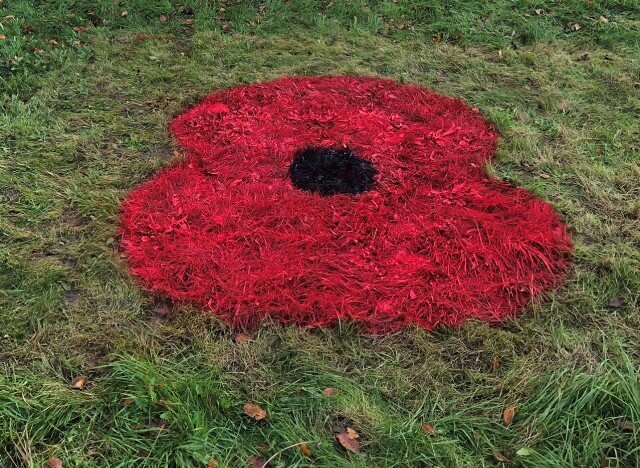 We will remember them: giant poppies bloom ahead of Remembrance Day