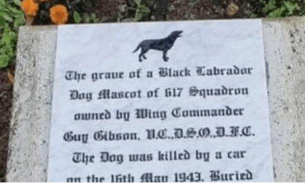 Lincolnshire County Council officers object to moving grave of Guy Gibson’s dog