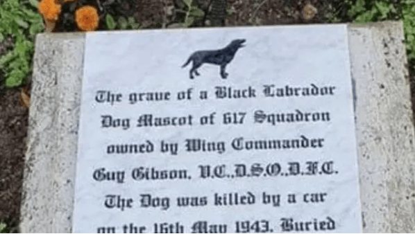 Lincolnshire County Council officers object to moving grave of Guy Gibson’s dog